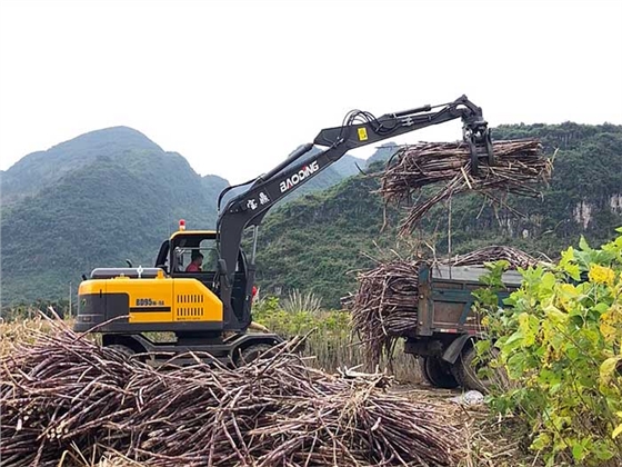 抓木機品牌 抓木機品牌