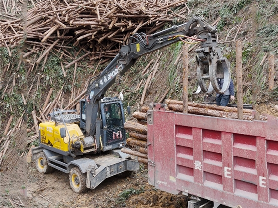 寶鼎95抓木機 寶鼎95抓木機
