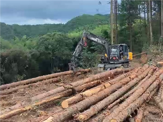 寶鼎抓木機抓長木.jpg 寶鼎抓木機抓長木.jpg