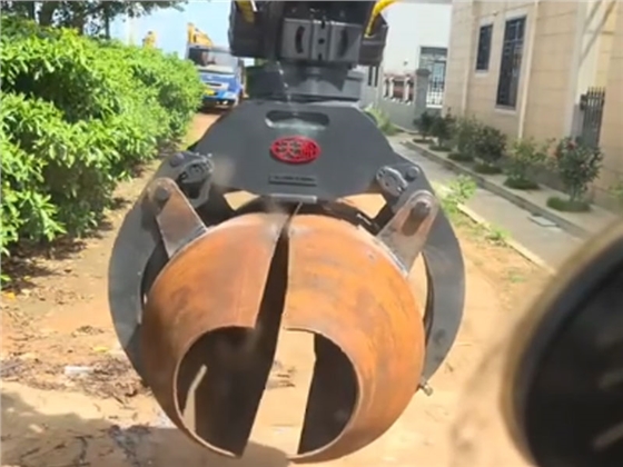 貝殼斗.jpg 貝殼斗.jpg