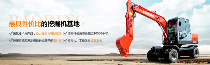 寶鼎-具性價比的挖掘機