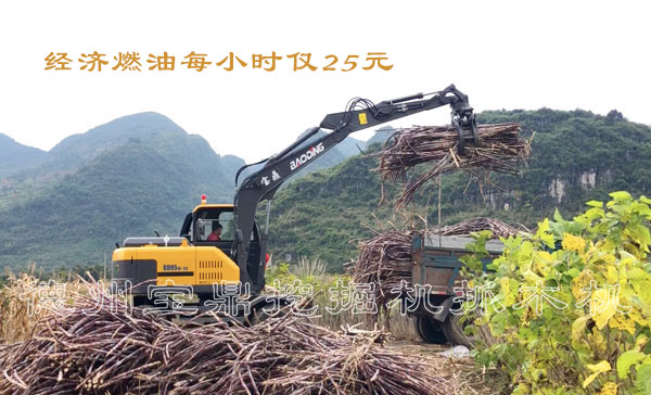 寶鼎95輪式抓木機甘蔗裝車.jpg 寶鼎95輪式抓木機甘蔗裝車.jpg