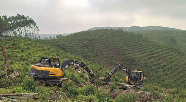 多功能輪式挖掘機.jpg 多功能輪式挖掘機.jpg