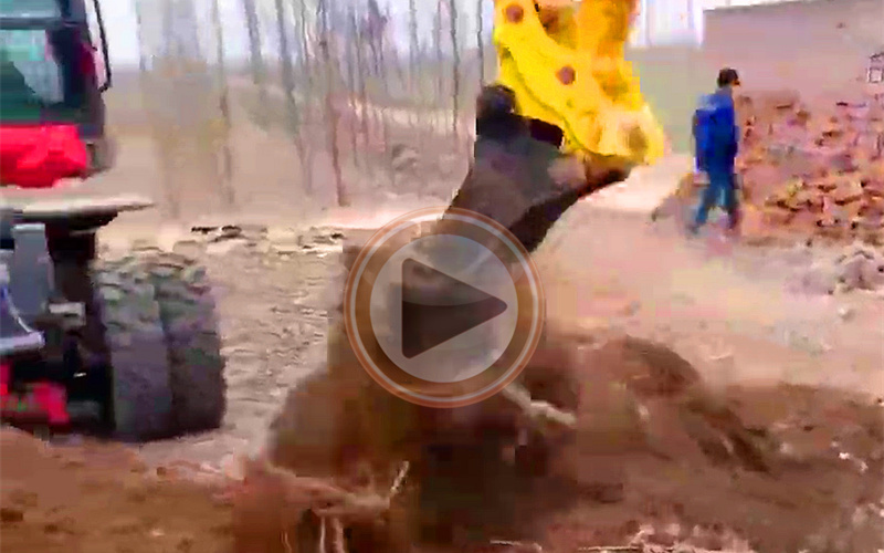 寶鼎輪式挖掘機視頻 寶鼎輪式挖掘機視頻