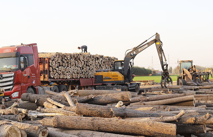小型抓木機 小型抓木機