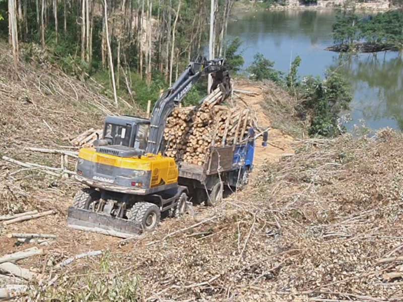 寶鼎抓木機.jpg 寶鼎抓木機.jpg