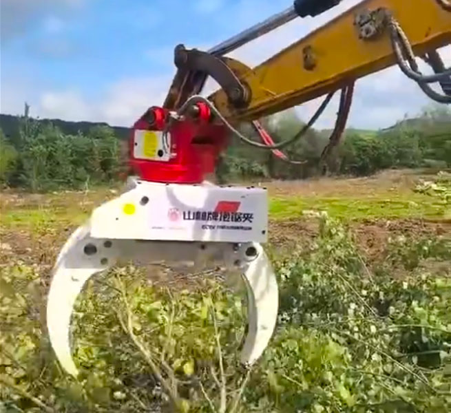 挖掘機(jī)變伐木機(jī)?寶鼎90級(jí)改裝抱夾鋸,下鋸快準(zhǔn)狠