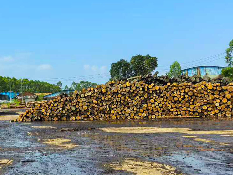 抓木能手:寶鼎抓木機(jī)各類工況應(yīng)對(duì)自如