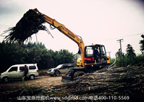 寶鼎輪式95抓木機(蔗木裝卸機)(甘蔗抓裝機)風(fēng)采 寶鼎輪式95抓木機(蔗木裝卸機)(甘蔗抓裝機)風(fēng)采
