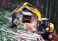 寶鼎履帶式90挖掘機抓木機廣東山區(qū)作業(yè)圖 寶鼎履帶式90挖掘機抓木機廣東山區(qū)作業(yè)圖