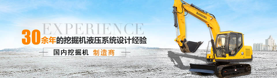 挖掘機(jī)廠家 挖掘機(jī)廠家